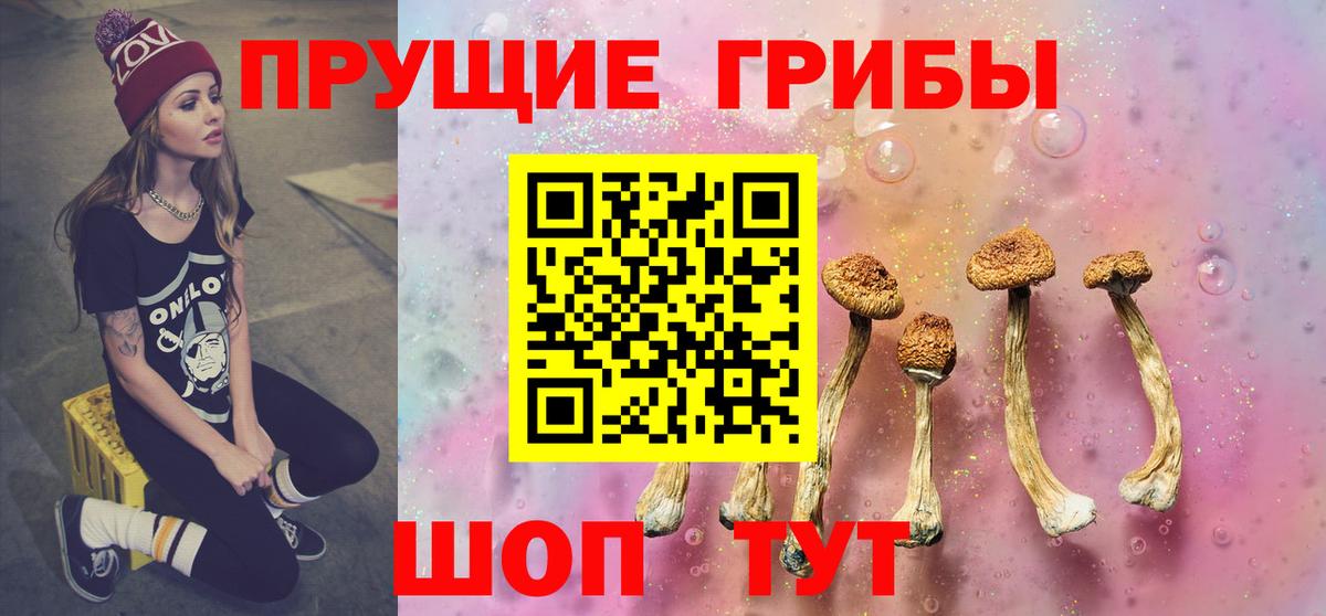 Галлюциногенные грибы мицелий  Вход с VPN  Новозыбков  Галлюциногенные грибы GOLDEN TEACHER 